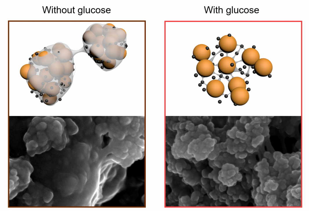 The role of glucose - Spoonful of Sugar (Medianet - Monash Energy Institute)