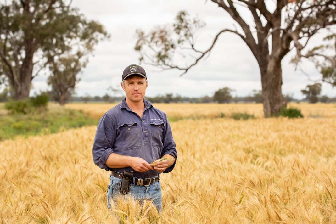 Wheat farmer Oscar Pearse says 2021 has been an exceptional year on the land. (Kim Storey/AAP PHOTOS)